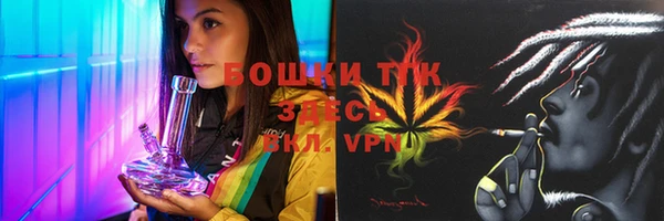 тгк Абаза