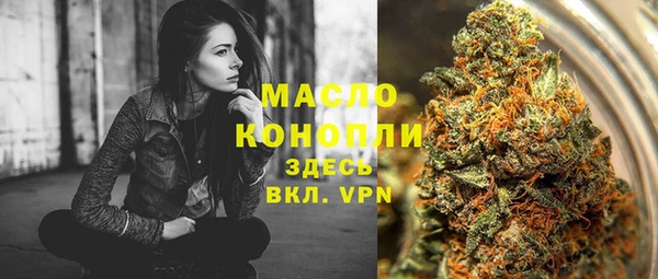 тгк Абаза