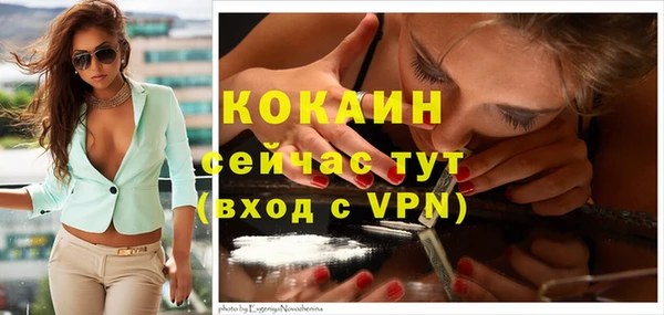 тгк Абаза