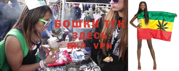 тгк Абаза