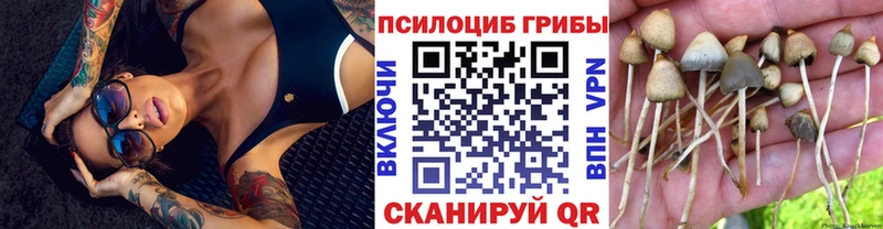 Псилоцибиновые грибы Cubensis даркнет сайт Торопец